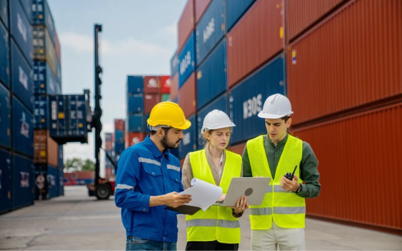 The export specialists analyzing the compliance and reporting requirements before exporting services